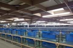 121720024_1726214550850450_3705270071156904854_n