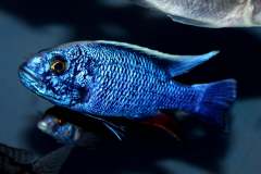 123870265_1749049578566947_7012017121651770934_o