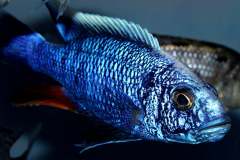 124172253_1749049445233627_1297005546986093792_o