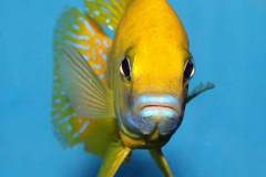 128798864_1769400453198526_4633662932170835756_o