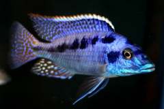 131891344_1782665921871979_1683250773525369848_o