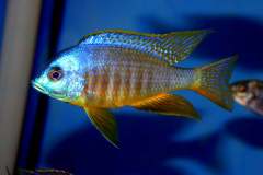 132486504_1788090124662892_5843169515509675221_o