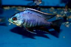 133070339_1788090204662884_3233626242226151575_o