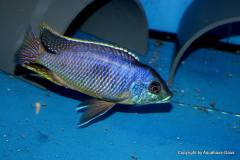 14524944_708905699248012_1409647907943096115_o