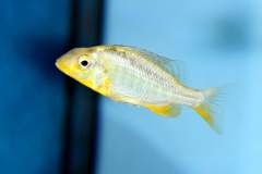 1_116429340_1652213771583862_7965895386208149498_o