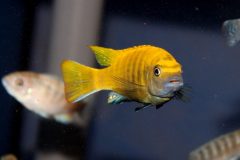 21640919_893799524091961_8038304520674875174_o