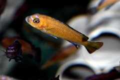 27503793_955986364539943_1237989509893209302_o