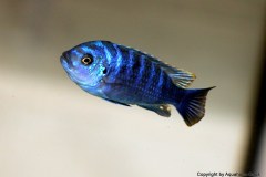 27624627_955986451206601_2240790716475945685_o