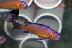 27624992_955986344539945_5579346425376507684_o