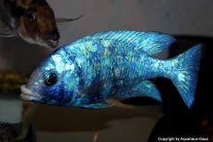 34725818_1022533554551890_7896999523539484672_o