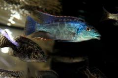 37388641_1067679196703992_5885298045377052672_o