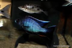 37500431_1065315733607005_971673794521333760_o