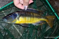 37531405_1065314400273805_6718378674095128576_o