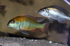 37554901_1065315196940392_7294474444372705280_o