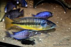 37577157_1065314543607124_420742538278731776_o