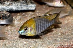 37608729_1065309500274295_503262994772262912_o