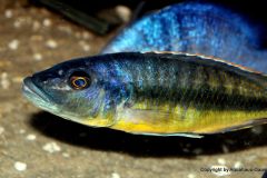 37609511_1065314610273784_5201214737009868800_o