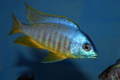 37680783_1069526493185929_1632221279106891776_o