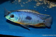 37698899_1069531773185401_349092751385559040_o