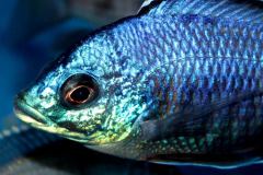 37723813_1069534269851818_2156786478443659264_o