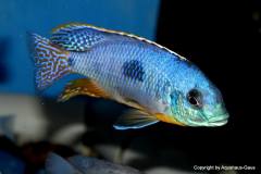 37736732_1069531623185416_6658087048475312128_o