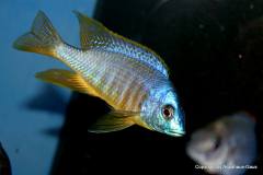 37742974_1069526099852635_1046599743813189632_o