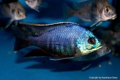 37768556_1069534226518489_398893120520978432_o