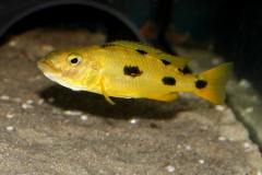 38614564_1088382697966975_2009215353523011584_o