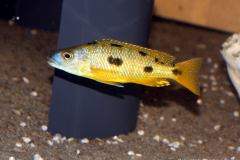 38635877_1088383021300276_9048256002469658624_o