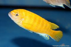 39811609_1104802869658291_959548114002247680_o