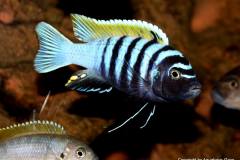 40021561_1105944526210792_4007374615117561856_o