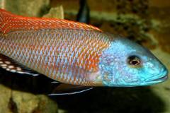 41398876_1116870881784823_2365684865858273280_n