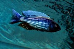 41454210_1116872655117979_6550383549457891328_o