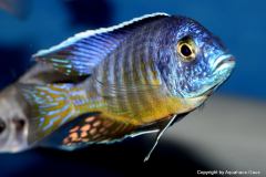 42761260_1126951377443440_2178137774484357120_o