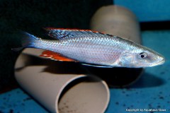 43055757_1129542840517627_3179128758070149120_o