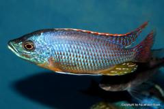 43063169_1129543197184258_4144763068364095488_o