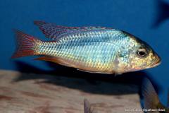 43137301_1129545403850704_6990575598028455936_o