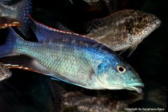 44575459_1140029416135636_5108617286512541696_o