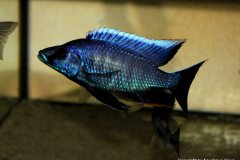 44657110_1140029329468978_2013485221030133760_o