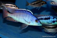 44756322_1140029176135660_4156452968616427520_o