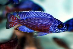 45166363_1152891754849402_8484898293443198976_o