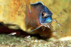 45186788_1152891201516124_1047641024274366464_o