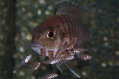 45269541_1152891304849447_7245482254938406912_o