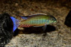 46501142_1167983566673554_1726079323980431360_o