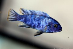 47091427_1171978899607354_7310357057339654144_o