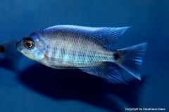 47119179_1173515212787056_7225631178089299968_o