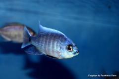 47293006_1173515256120385_7557469649982455808_o