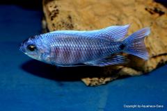 47388785_1173514996120411_5501757972650393600_o