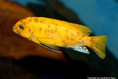 51701513_1218276298310947_5501404436712390656_o