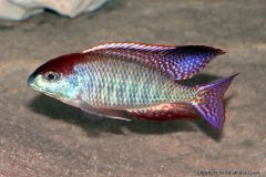 52918047_1232055243599719_3361584925923868672_o